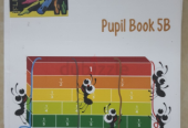 Collins Maths Pupil Books 5A, 5B, 5C Posted 5