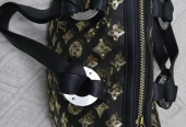 Louis vuitton Fashion collection bags
