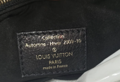Louis vuitton Fashion collection bags