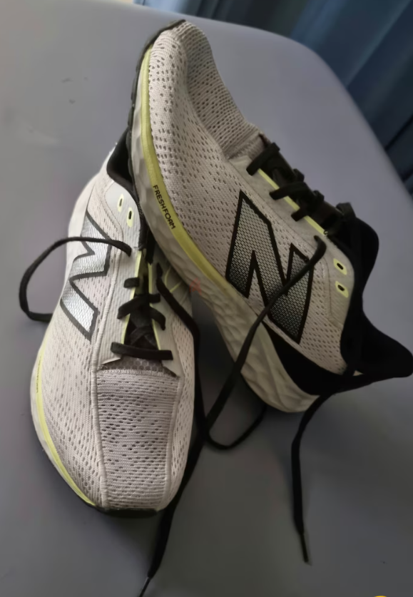 New Balance Fresh foam Arishi V4 EU45