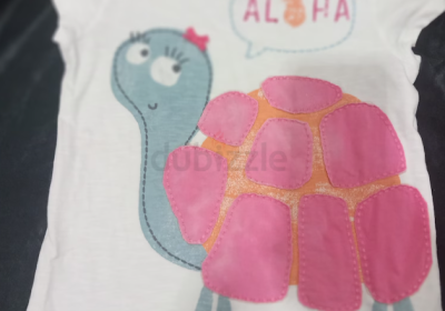 Screenshot-2025-02-10-220011