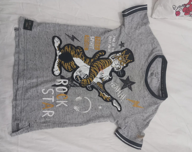 Cotton T-shirt for boys, size 5 to 6 years