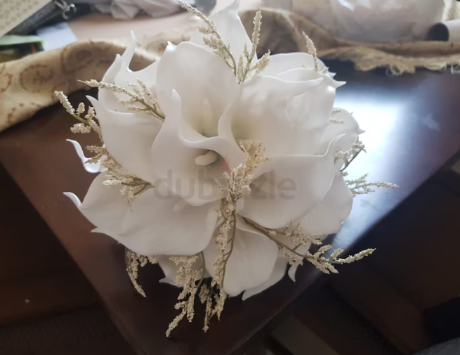 الشارقة – الخان