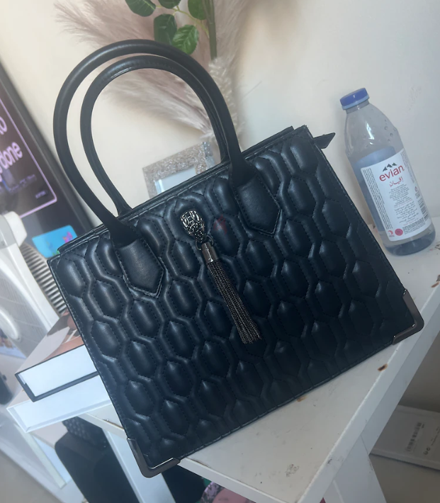 Aldo Black Bag