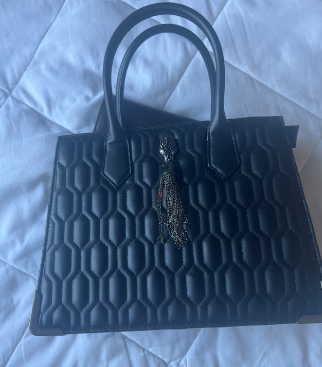 Aldo Black Bag