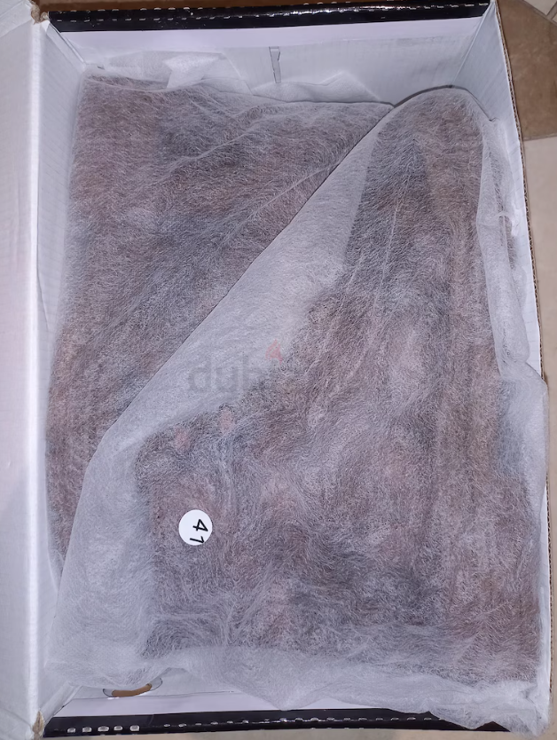 Leather Shoes in excellent condition