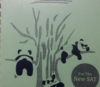 Screenshot-2025-02-11-192108