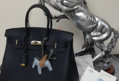 Hermes BIRKIN 35. Pure leather. New.
