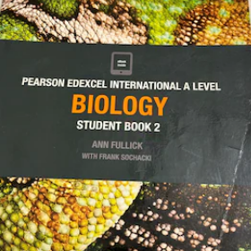 Screenshot-2025-02-11-194934