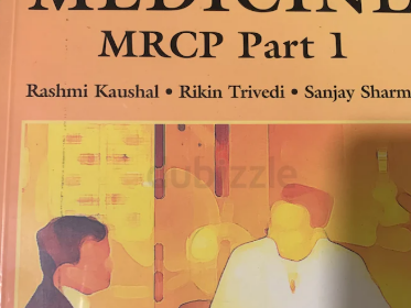 Screenshot-2025-02-12-115758