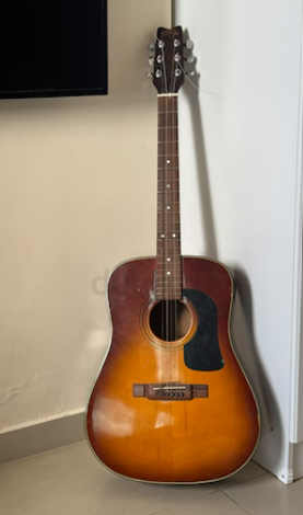 WASHBURN D12 acoustic guitar