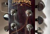 WASHBURN D12 acoustic guitar