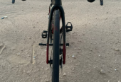 Pinarello Dogma 12 Disc