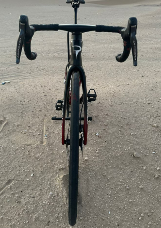 Pinarello Dogma 12 Disc