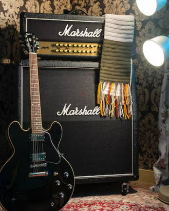 Gibson guitar ES335 2022