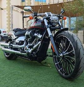 photo_2025-02-09_10-06-18-Copy