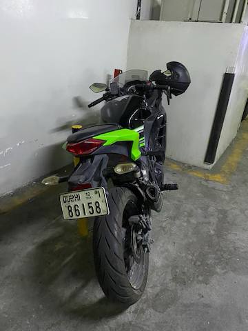 Ninja Kawasaki 300