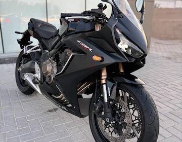 photo_2025-02-09_11-45-03