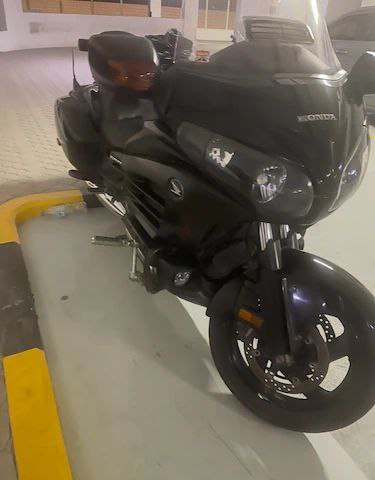 جولد هوندا f6p