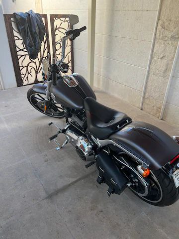 هارلي break out