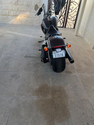 هارلي break out