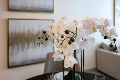 New 1 bedroom in Al-Wasl offering a serene canal-side setting