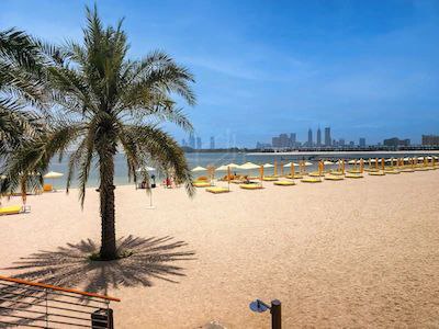 Amazing sea view apartment in Tiara Palm Jumeirah