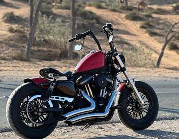 photo_5857133823559582469_x