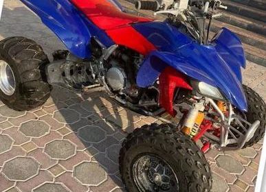 photo_5857133823559582497_x