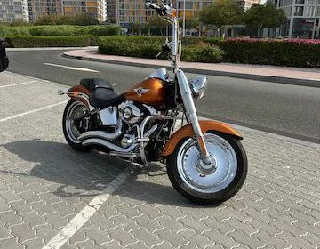 photo_5857133823559582593_x