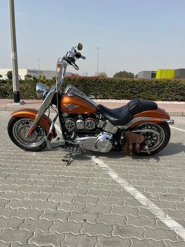 2014 Fatboy Low