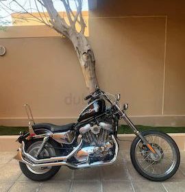 photo_5857133823559582641_x