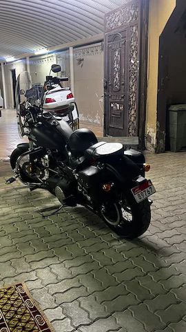 Harley Davidson Dyna Street Bob