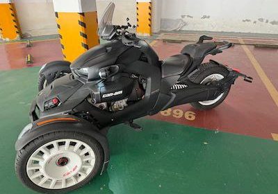 photo_5857133823559582762_x