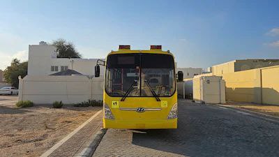 photo_5861832466241799929_x