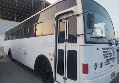 photo_5861832466241799953_x