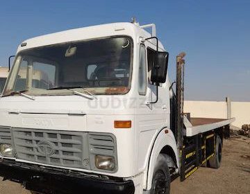 photo_5861832466241800022_x