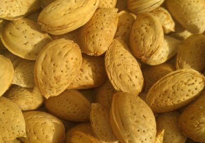 60087fa1-fca2-4bb0-aafd-a3e63e16814f-1