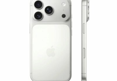 WhatsApp-Image-2025-12-30-at-1.03.16-PM-1