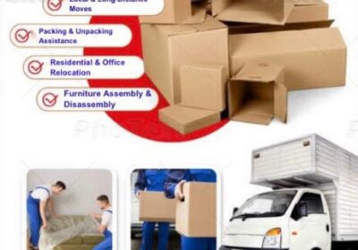 WhatsApp-Image-2026-02-13-at-10.00.21-PM