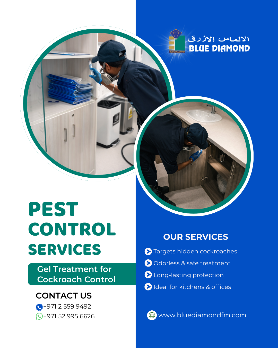 Keep Your Home & Business Pest-Free with NEW BLUE DIAMOND!