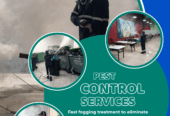 Keep Your Home & Business Pest-Free with NEW BLUE DIAMOND!