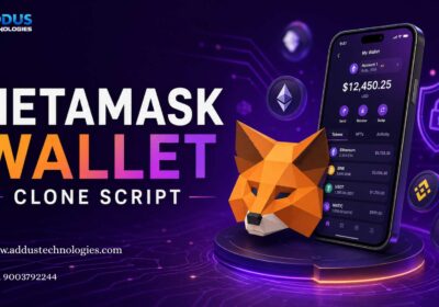 metamask-wallet-clone-script