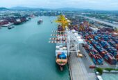 Freight forwarding service in Al Hamriyah Free Zone